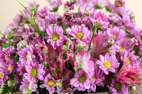 باقة بيبي كريز