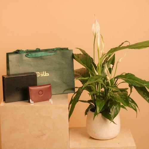 نبتة سباثيفيلوم طبيعية مع محفظة طاد