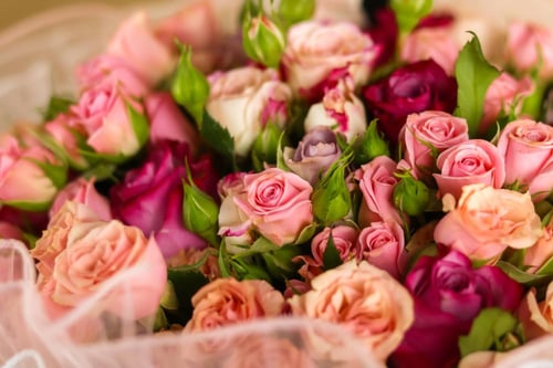 باقة الروز مع شوكلاتة انوش