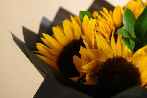 باقة ورد دوار الشمس المشرقة