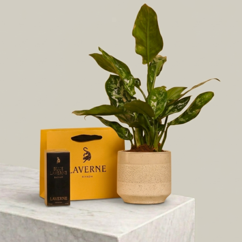 نعومة الطبيعة والعطر(العطر اختيار إضافي )
