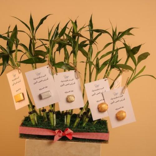 توزيعات بامبو وشوكولاتة