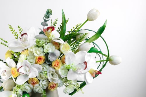 فازة الاوركيد