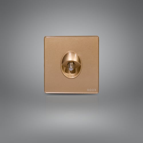 فيش دش ذهبي