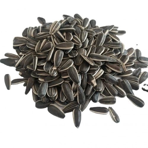 بذور عباد الشمس ( حب شمسي )