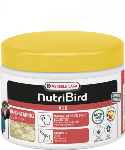 سيريلاك ڤيرسلاغا A19