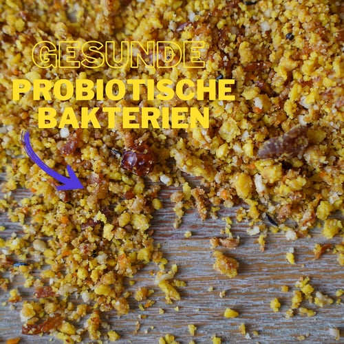 باتية البيض الذهبي