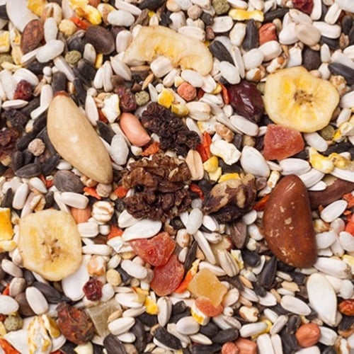 أكل للببغاوات المكاو بالمكسرات والفواكه