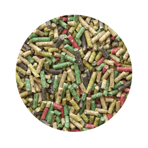 غذاء طيور البلبل والمينا الآكلة للحشرات Pet Cup