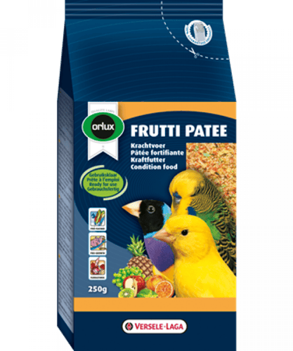 باتيه بالفواكه