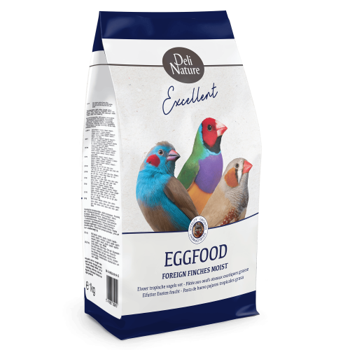 باتية للزيبرا فينش - Egg food