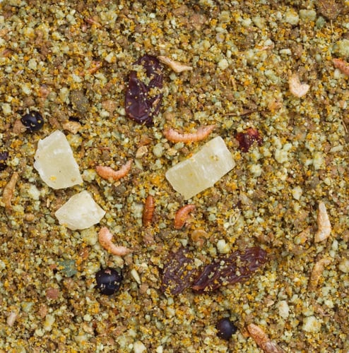 ايق فود للببغاء و الطوقان بالفواكه والحشرات