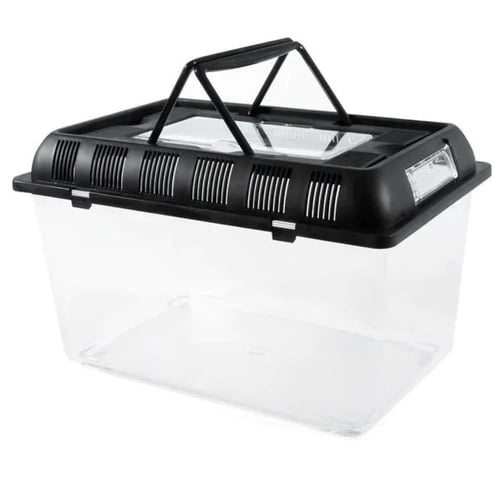 حضانة صندوق شفاف لجميع الطيور