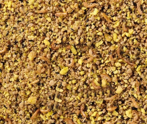 باتيه للبادجي و البراكيت -Egg Food