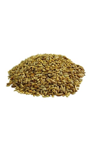 مشكل براونز للبادجي