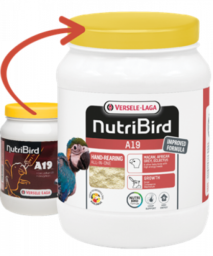 سيريلاك ڤيرسلاغا A19