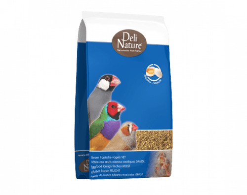 باتية للزيبرا فينش - Egg food