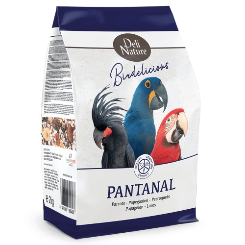 أكل للببغاوات المكاو بالمكسرات والفواكه