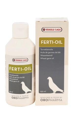 زيت بذرة القمح