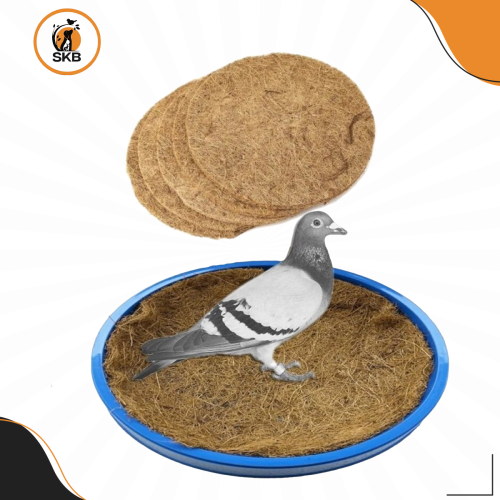 لباد عش للمفرد