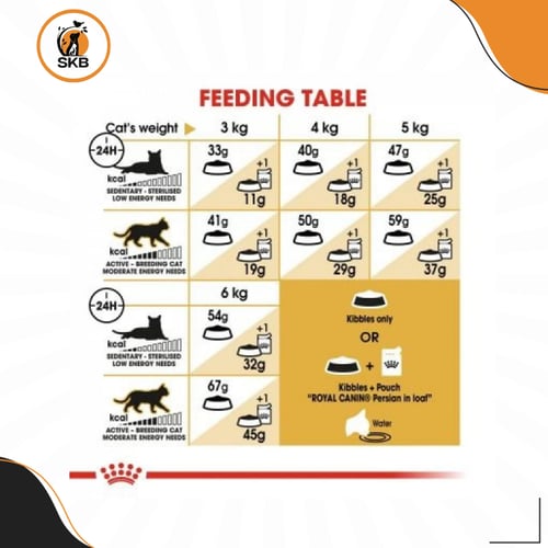 رويال كانين نوع "بيرشن" البالغة