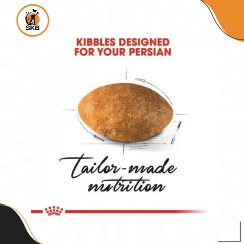 رويال كانين نوع "بيرشن" البالغة