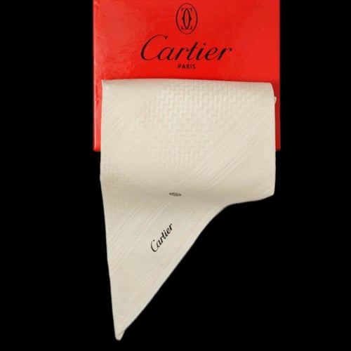 كارتير بيج S11 الشتوي