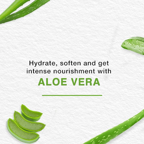 هيمالايا كريم ترطيب وتغذية الصبار و الكرز الشتوي -...