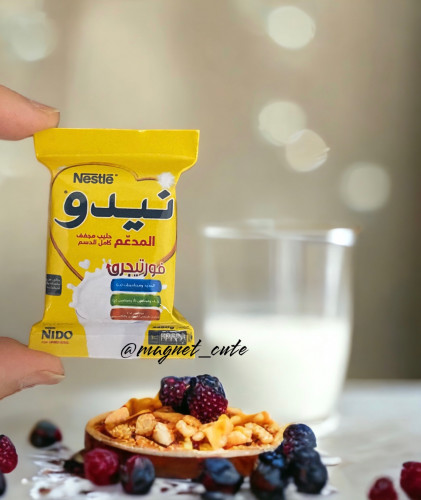 مغناطيس نيدو