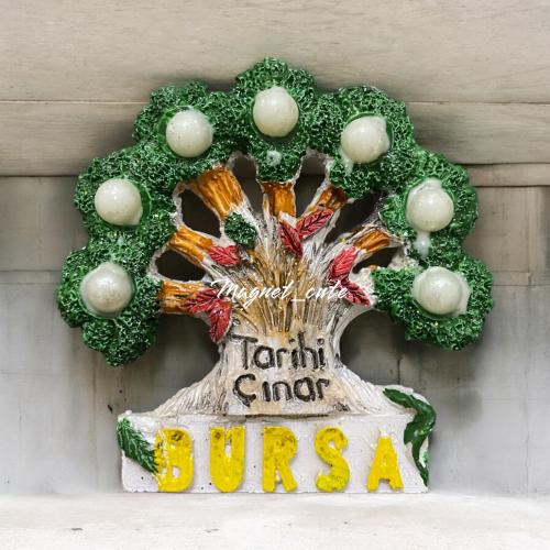 Turkey Bursa Tree Old Magnet