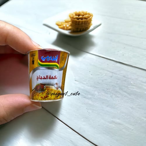 مغناطيس اندومي كاسة