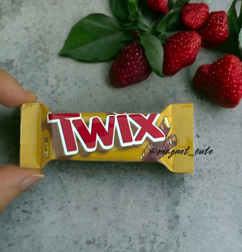 مغناطيس تويكس