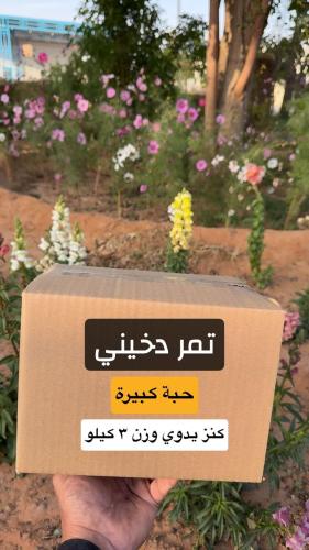 دخيني جامبو