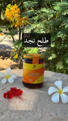 طلح نجد - نص كيلو