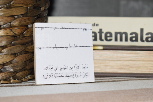 مغناطيس ثلاجة