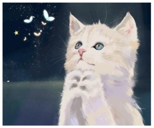 لوحات تلوين مرقمة - cat