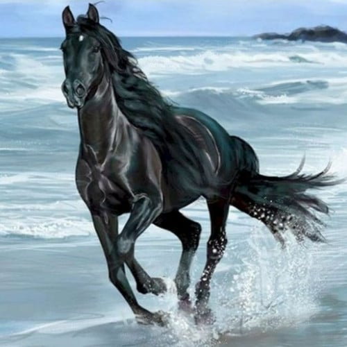 لوحات تلوين مرقمة | Black Horse