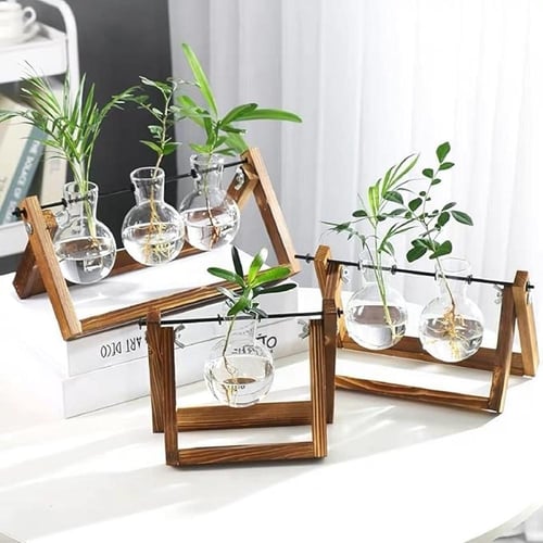 حوض نباتات زجاجي