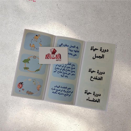 دورة حياة الحيوانات(نموذج 1)