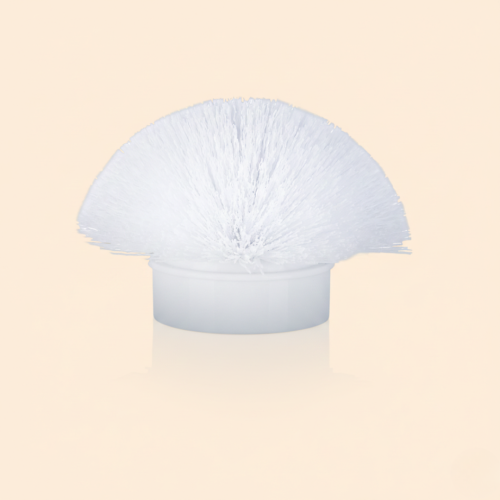 رأس فرشاة مقوس