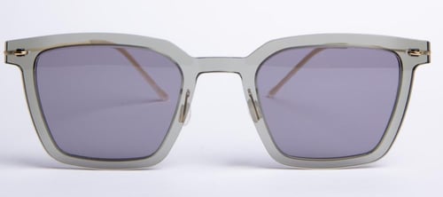 نظارة بروميس