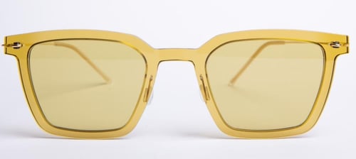 نظارة بروميس