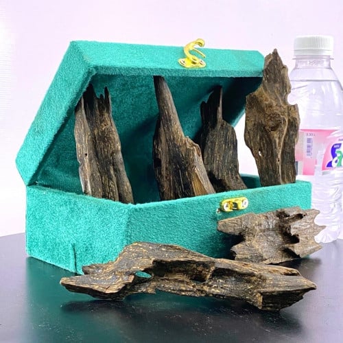 قطعة عودة للهدايا والاقتناء.