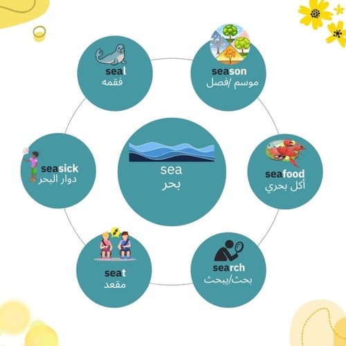 الكلمات الإنجليزية بواسطة الخرائط الذهنية