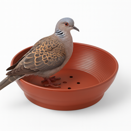 عش بديل الفخار بلاستيكي مع لباد تعشيش للحمام