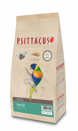 جل غذاء لوري سيتاكوس PSITTACUS LORY GEL