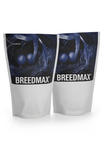 بريد ماكس Breedmax – مكمل غذائي احترافي للطيور أثن...