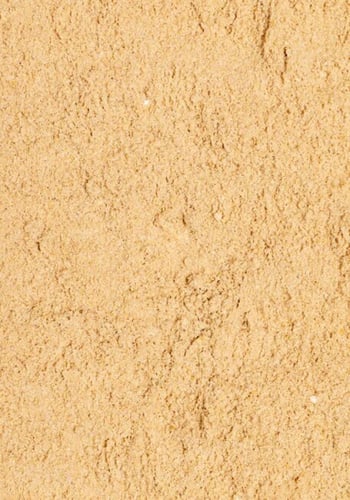 لوري دايت سيتاكوس PSITTACUS LORY DIET