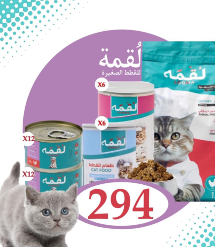 LOQMA - Kitten العرض التوفيري من لقمة لتغذية القطط...