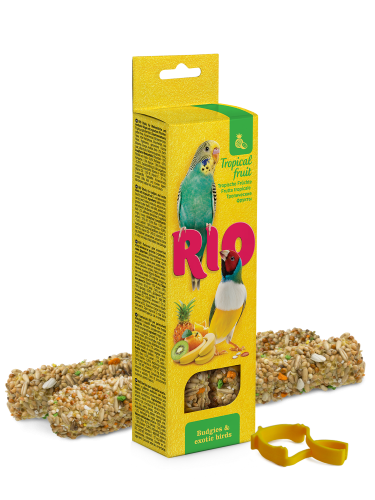 ريو سناك طيور البادجي والزيبرا بالفواكة الأستوائية...